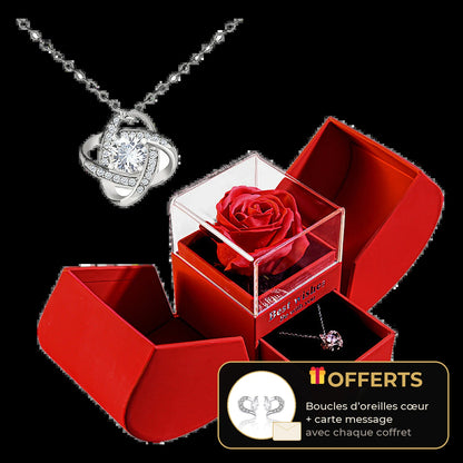 Coffret rose éternelle avec collier nœud d'amour scintillant, cadeau pour femme